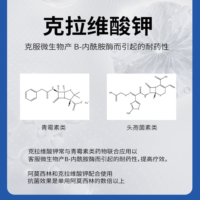 猫狗感冒药阿莫西林克拉维酸钾犬用犬猫皮肤病脓皮症尿道炎