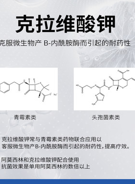 阿莫西林犬猫消炎药感冒腹泻咳嗽