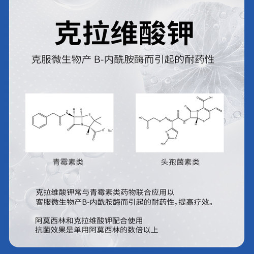阿莫西林犬猫消炎药感冒腹泻咳嗽