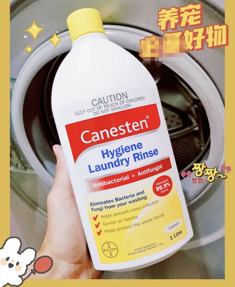 拜耳canesten凯妮汀衣物除菌液内衣物服裤杀真菌消毒液