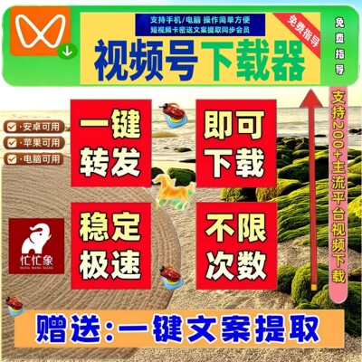 视频号下载直播回放不限时间不限平台代下载好看mac软件电脑网页