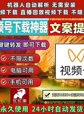 蝴蝶视频号下载工具万能嗅探视频下载神器Win系统1对1服务pad系统