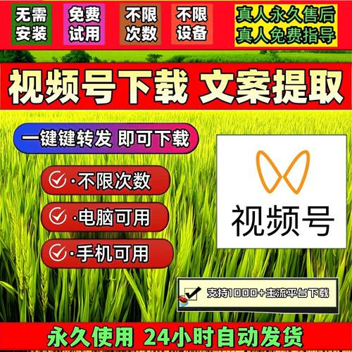 蝴蝶视频号下载工具终身激活mp4代下载无限次数卡密自媒体Win系统