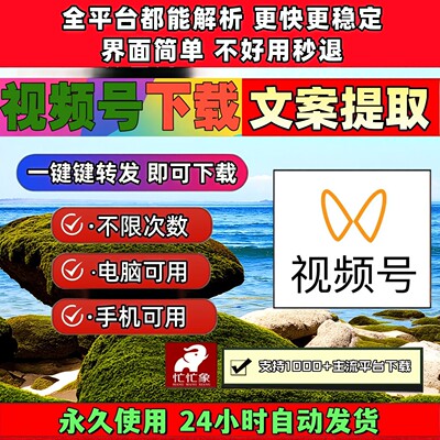 视频号下载助手忙忙象轻松上手mp4mac系统会员网页软件拍下即发