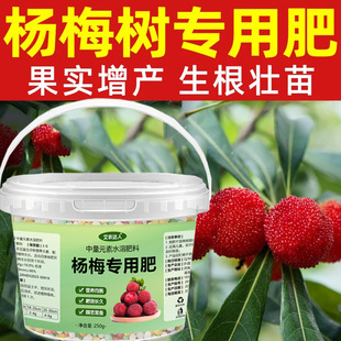 杨梅专用肥果树通用肥强根壮苗通用型树肥保果防落有机复合缓释肥