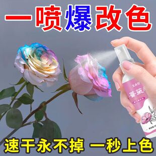 鲜花专用喷色剂喷漆碎冰蓝玫瑰喷剂花艺喷色花色漆花卉染色剂花束