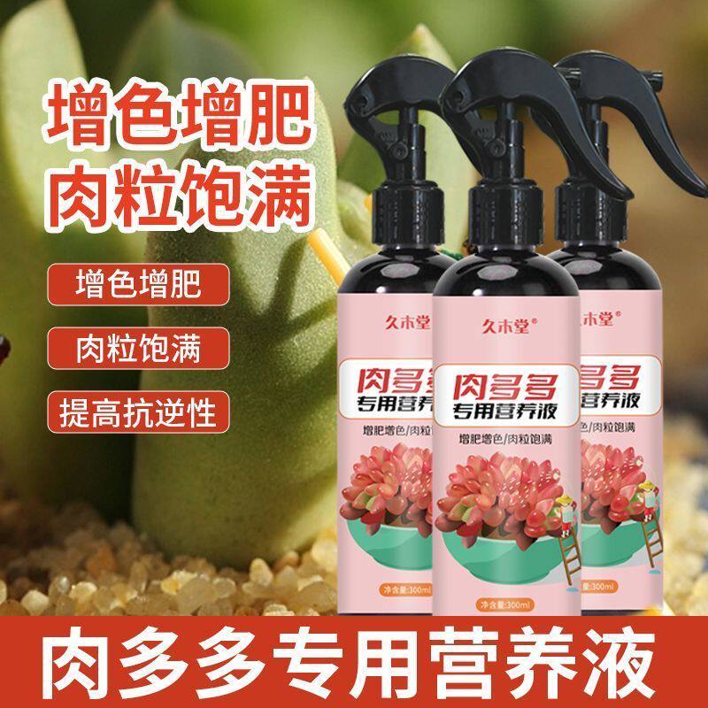 久木堂多肉植物出锦增色药水通用型变锦催锦金枝玉叶雅乐之舞变图片