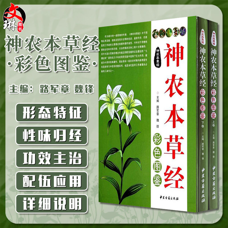 《神农本草经》彩色图鉴 路军章 魏峰主编 中医古籍出版社