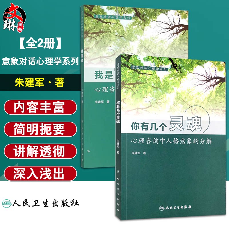 全2册 意象对话心理学系列—我是谁 心理咨询与意象对话技术+你有几个灵魂—心理咨询中人格意象的分解 人民卫生出版社