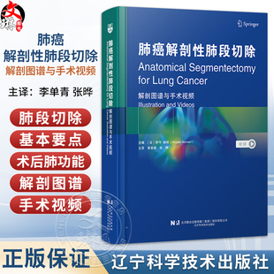 肺癌解剖性肺段切除：解剖图谱与手术视频 [日]野守 裕明 主编 李单青 张晔 主译 右肺下叶肺段切除术等 辽宁科学技术出版社