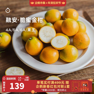 企鹅市集 脆蜜金柑 广西融安金桔脆蜜金橘小金桔时令新鲜水果