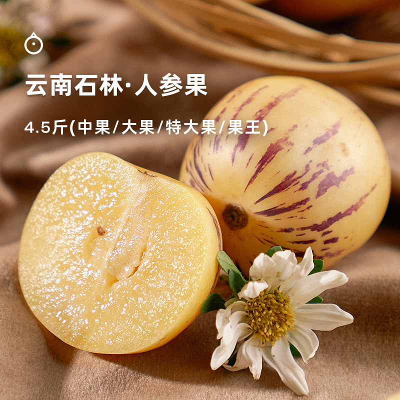 企鹅市集 人参果 云南石林人参果圆果新鲜现摘时令水果4.5斤图片