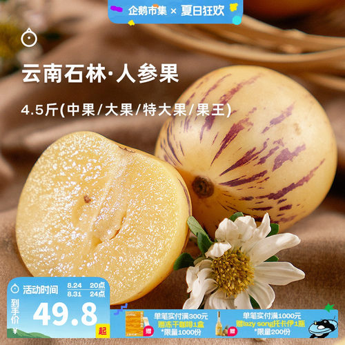 企鹅市集 人参果 云南石林人参果圆果新鲜现摘时令水果4.5斤