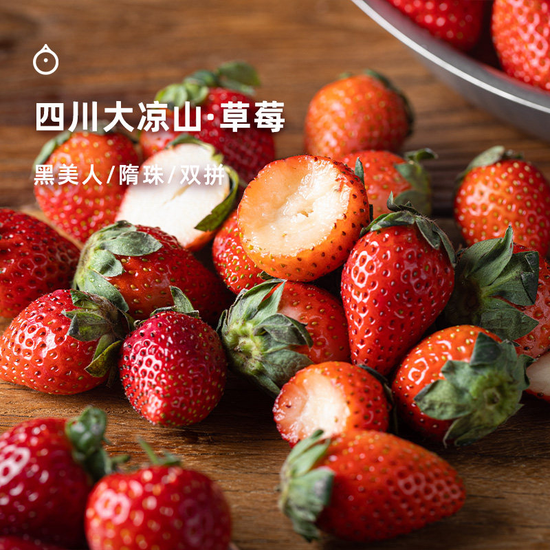 四川大凉山隋珠草莓新鲜水果