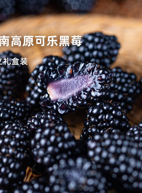 企鹅市集 可乐黑莓 云南高原珍稀品种莓果新鲜时令水果礼盒装