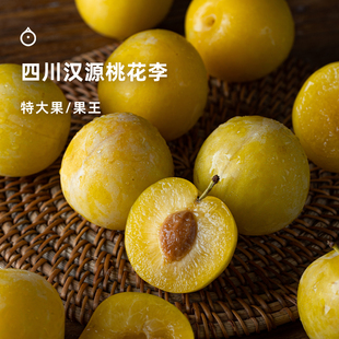 企鹅市集 桃花李 四川汉源桃花布林玉皇李新鲜李子软李子时令水果