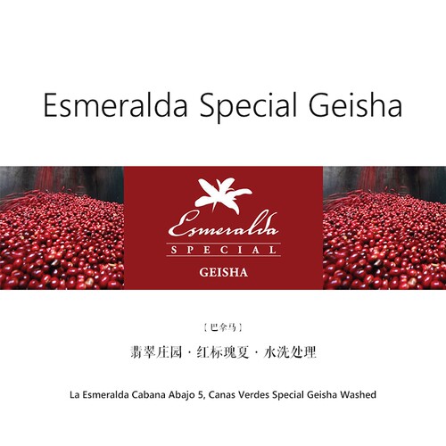 咖啡豆下单烘焙 巴拿马翡翠庄园红标瑰夏水洗Special Geisha 100g - 封面