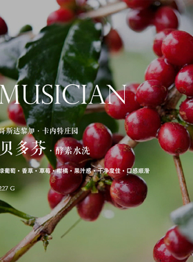 咖啡豆下单烘焙哥斯达黎加Costa Rica卡内特音乐家贝多芬酵素水洗
