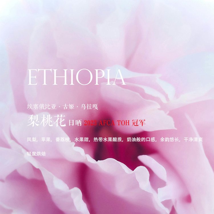 咖啡豆下单烘焙 埃塞俄比亚梨桃花 2023 AFCA TOH日晒组冠军豆,咖啡/麦片/冲饮,咖啡豆,淘宝优惠券,粉丝福利购,淘宝优惠卷