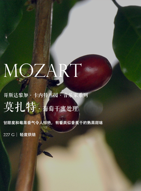 咖啡熟豆下单烘焙哥斯达黎加Costa Rica音乐家系列莫扎特轻度烘焙