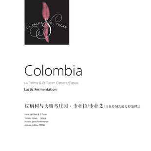 咖啡豆 Colombia 棕榈树与大嘴鸟庄园 厌氧控制乳酸发酵 哥伦比亚