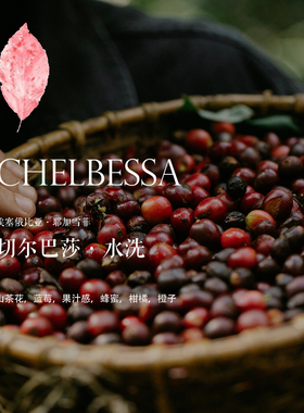 埃塞俄比亚咖啡豆Ethiopia切尔巴莎Chelbessa水洗 山茶花/果汁感