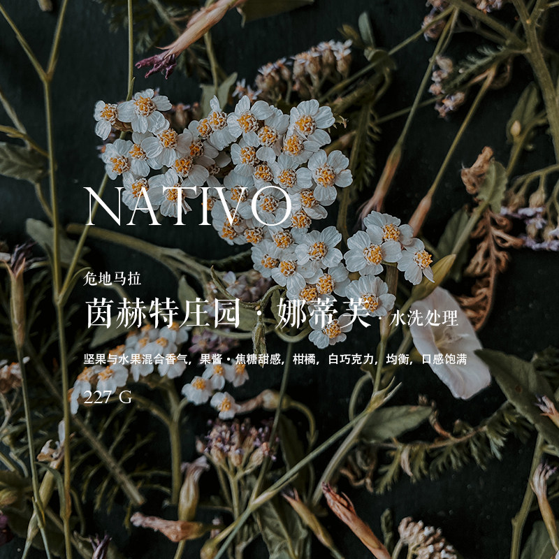 咖啡豆下单烘焙 危地马拉茵赫特庄园 娜蒂芙 nativo水洗处理 227g