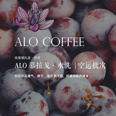咖啡豆埃塞俄比亚ALO慕拉戈水洗