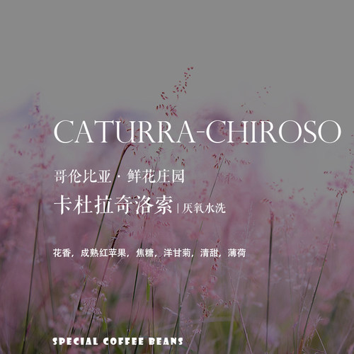 哥伦比亚鲜花庄园卡杜拉奇洛索