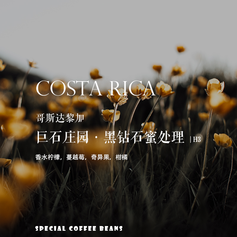 咖啡熟豆哥斯达黎加黑钻石蜜处理
