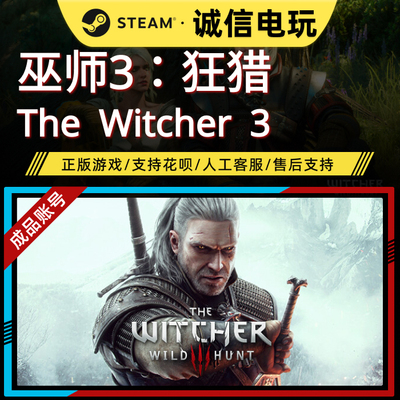 巫师3：狂猎  The Witcher 3 全新成品账号 steam正版零时长白号