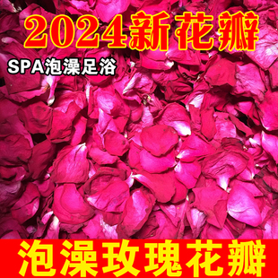 云南玫瑰花瓣泡澡天然干花瓣泡脚足浴温泉牛奶泡泡浴真花500g 包邮