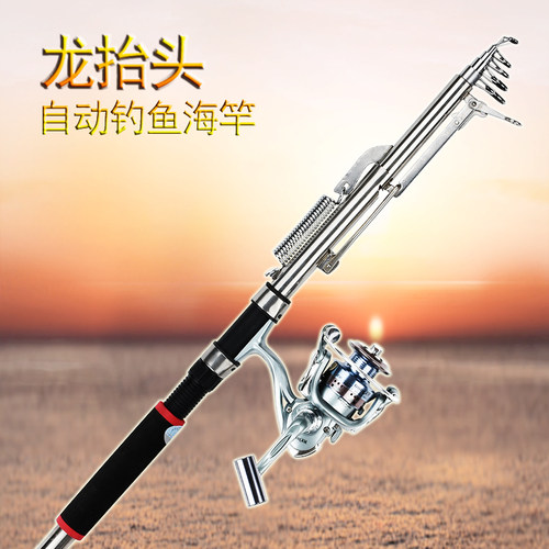 龙抬头自动钓鱼竿弹簧海杆