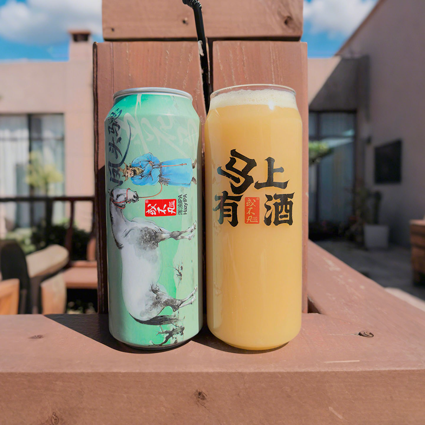惠同学 或不凡 五花马凤头骢酒花型淡色 500ML 精酿啤酒图片