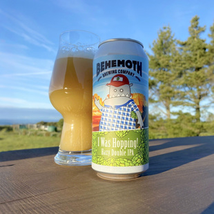 临期特价比萌巨兽 战书已接/酒花正欢/酒花热狗/音乐之城精酿啤酒