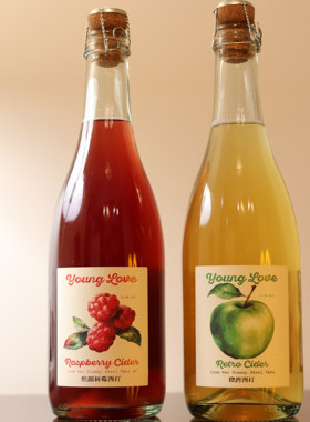 惠同学 万川橙湾西打树莓西打 新艺术运动慕尼黑清凉拉格 750ML