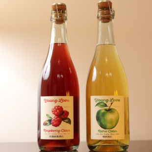 750ML 新艺术运动慕尼黑清凉拉格 惠同学 万川橙湾西打树莓西打