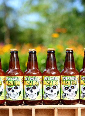 临期特价  迷失海岸紫色幽灵双倍浑浊IPA 美国精酿 临期特价