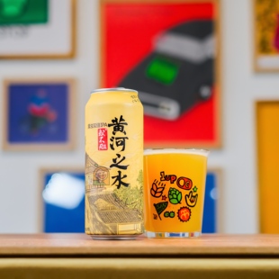 惠同学 或不凡黄河之水君不见不复回青蛇浆进酒 国产精酿啤酒6罐