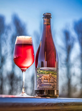 惠同学 农舍山亚瑟克拉拉公民不服从的义务塞缪尔流芳回雪 啤酒