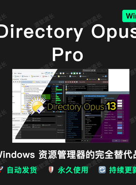 Directory Opus Pro 13 专业版文件管理工具软件管理器 Windows版