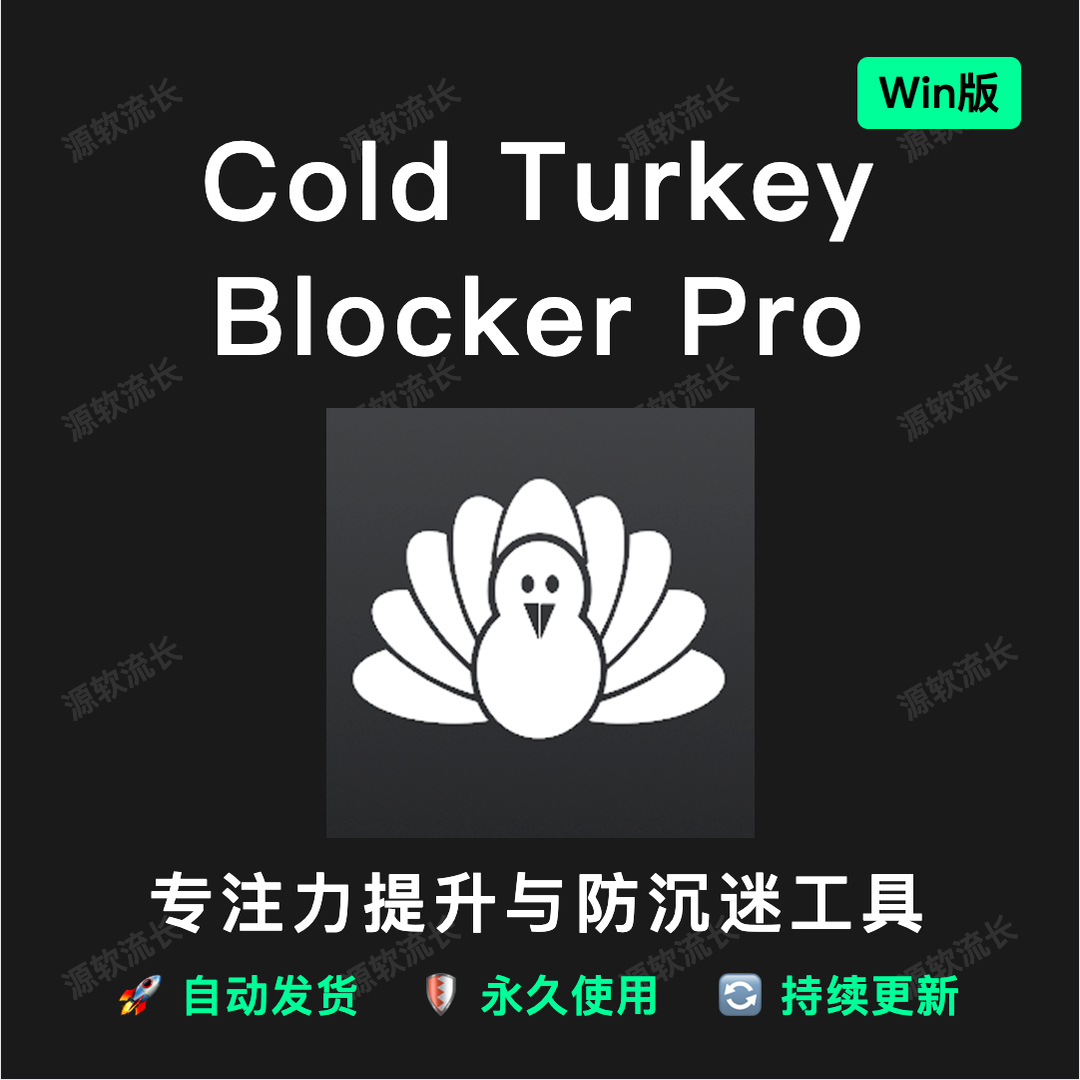 Cold Turkey Blocker Pro V4.7神仙软件专注力神器 戒网瘾Windows
