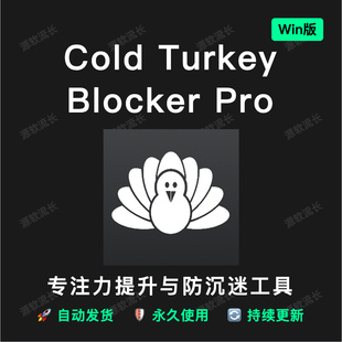 Cold Turkey Blocker Pro V4.9神仙软件专注力神器 戒网瘾Windows