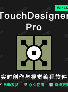 TouchDesigner软件远程安装Pro2023新媒体数字艺术互动视觉软件