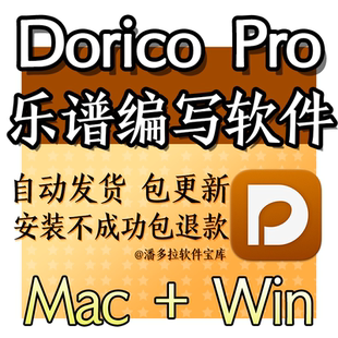 Dorico Pro 6 最新版 中文 WIN MAC 乐谱软件 五线谱打谱远程安装