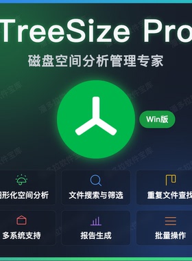 TreeSize Pro 可视化磁盘空间分析管理工具 Windows硬盘空间清理