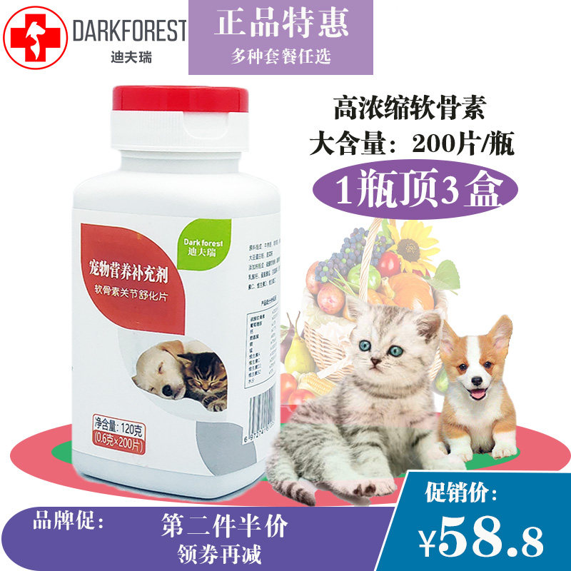 苏格兰折耳猫纯种黑素材模板 苏格兰折耳猫纯种黑图片下载 小麦优选