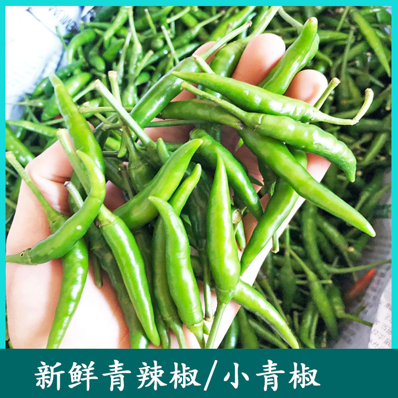 包邮 新鲜泰式小米辣椒500g小米椒指天椒小尖椒青辣椒泰国餐厅用