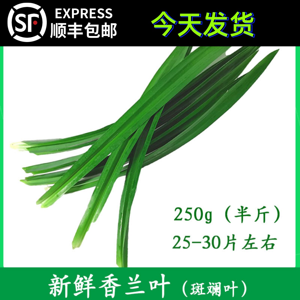 新鲜斑斓叶香兰叶千层糕原料