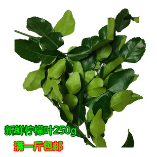 包邮新鲜柠檬叶250g青柠檬叶 毛里橙叶泰国冬阴功材料酸辣汤火锅